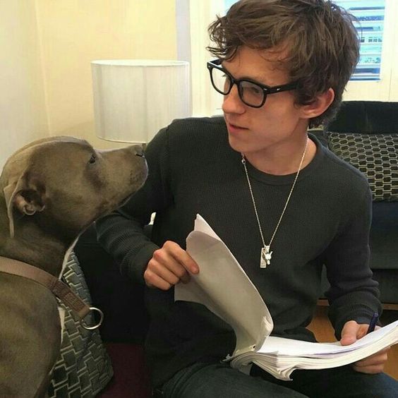 c0e73b60950538bfd12adcf8e757193e