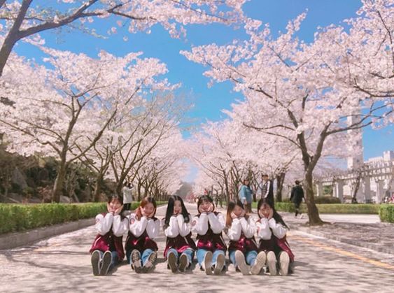 4fa9ec0b8a82bd6504a276266cf91f95