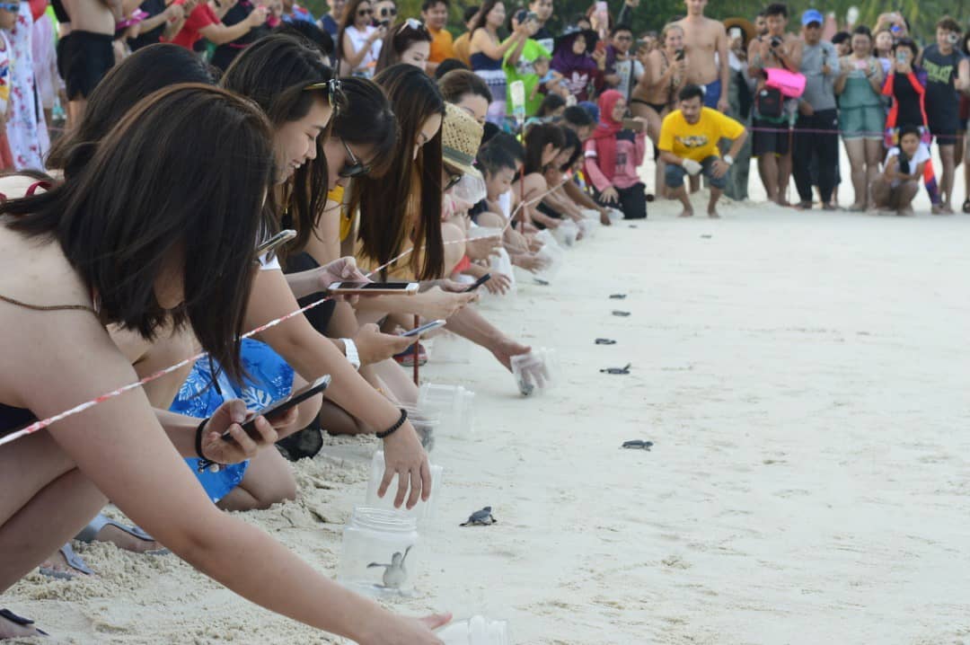 IMG_20190710_154807_892