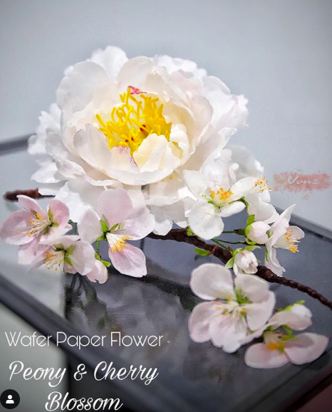 Screen Shot 2019-08-03 at 5.01.37 PM