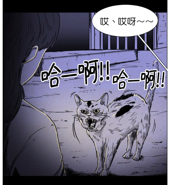 惊悚考试院猫咪突然表现凶狠狰狞