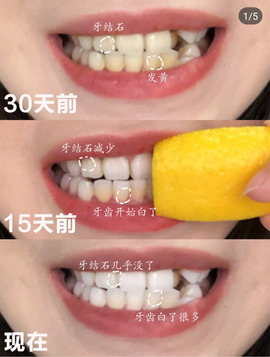 70239503_879919065716958_3139045700902322176_n