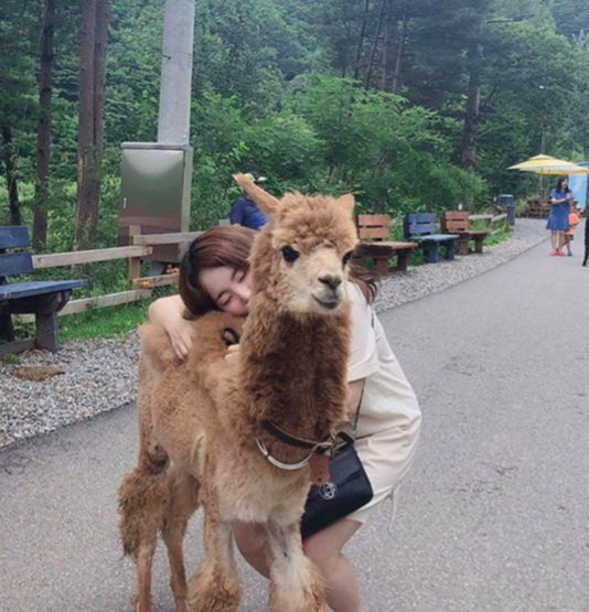 Screen Shot 2019-09-18 at 11.32.31 AM