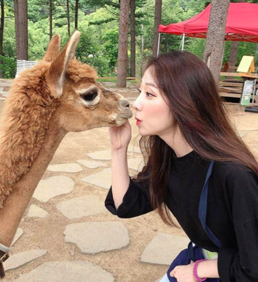 Screen Shot 2019-09-18 at 11.32.43 AM