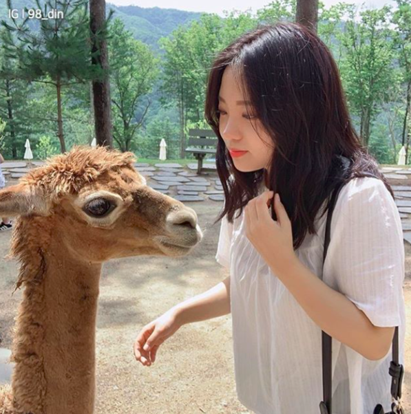 Screen Shot 2019-09-18 at 11.33.38 AM