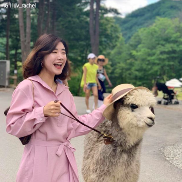 Screen Shot 2019-09-18 at 11.33.46 AM