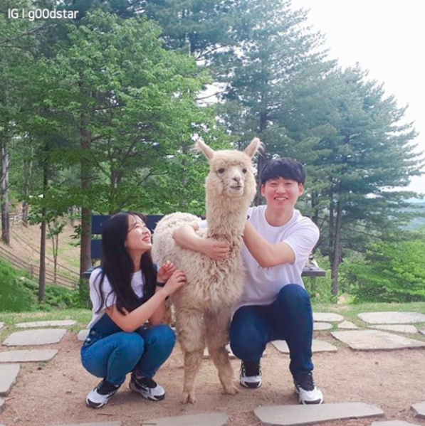 Screen Shot 2019-09-18 at 11.35.03 AM