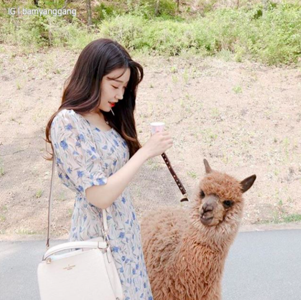 Screen Shot 2019-09-18 at 11.35.11 AM