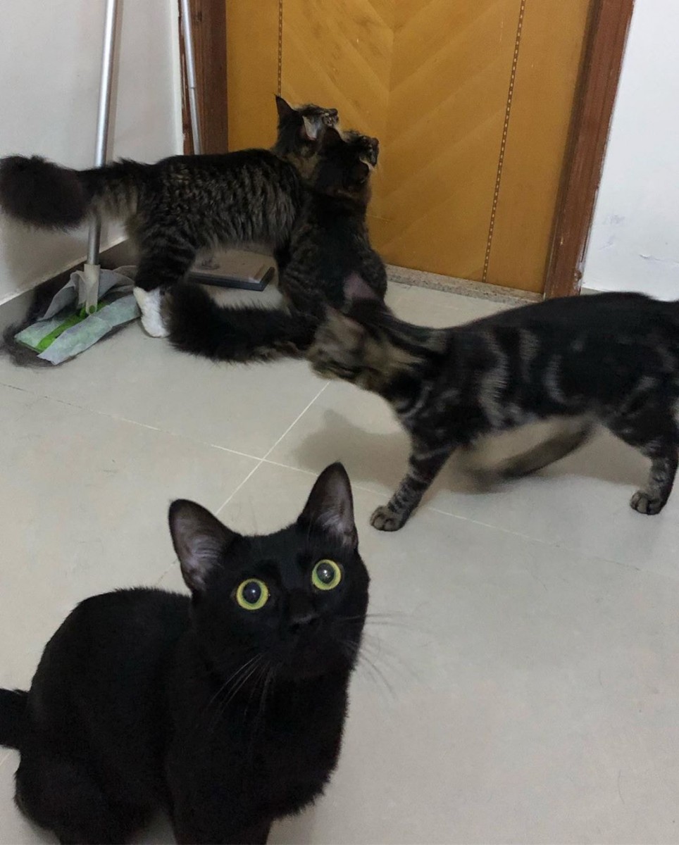 zHhkTQrsbybZLQ7CHRNa_puCWVt97E_sqG9kdqhvZHY