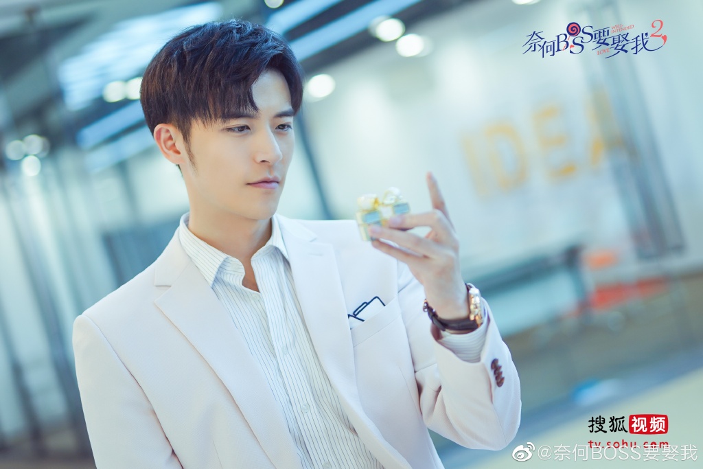 《奈何Boss要娶我》凌Boss (徐开骋 饰)