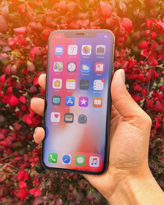 474a40c8d2fe420fe366e30cfd9661d2