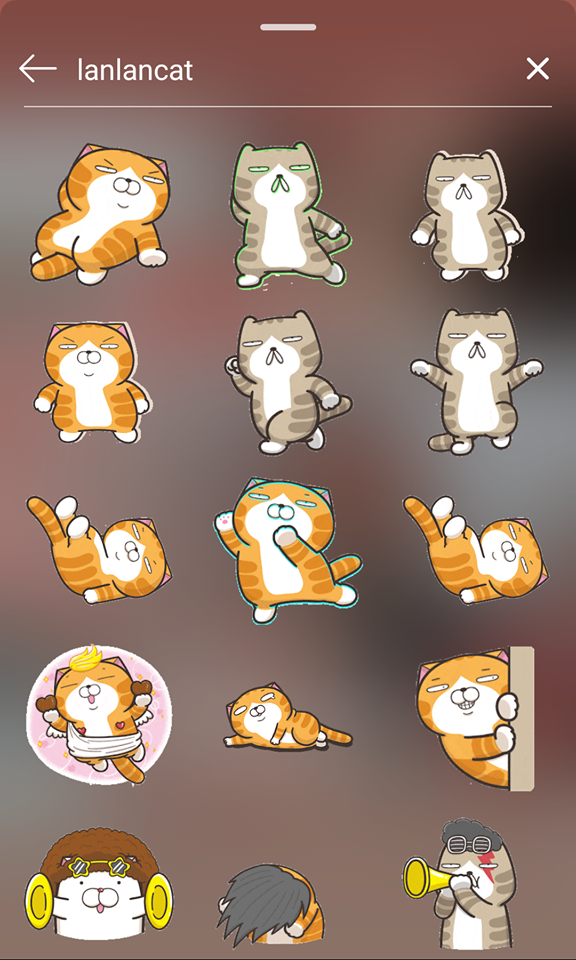 让Insta Stories更精彩的GIF搜索关键字：lanlancat