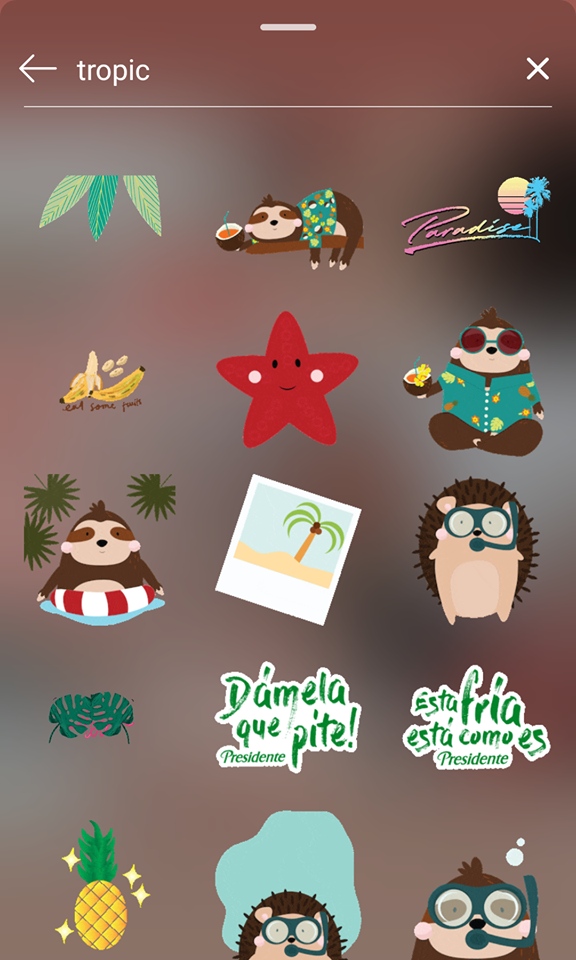 让Insta Stories更精彩的GIF搜索关键字：tropic