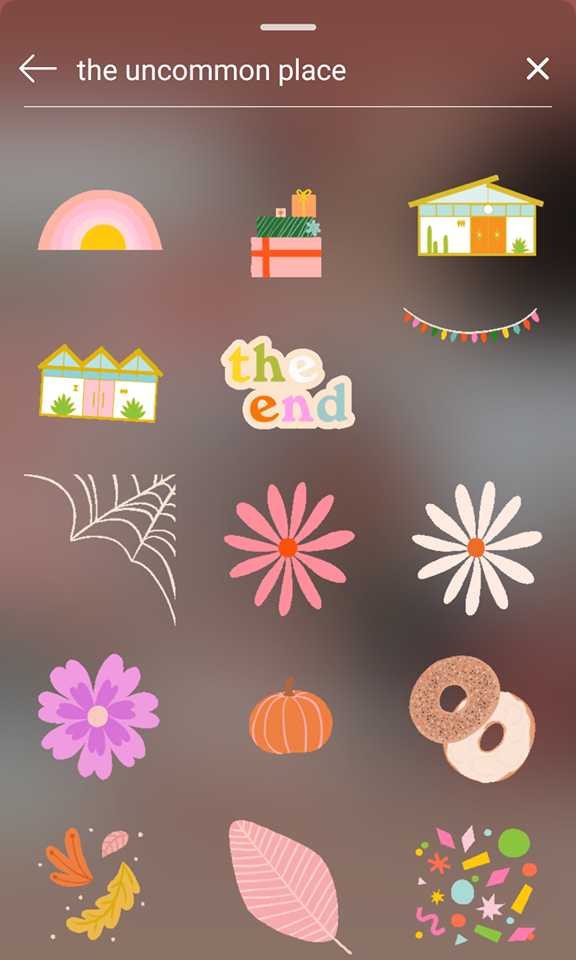 让Insta Stories更精彩的GIF搜索关键字：the uncommon place