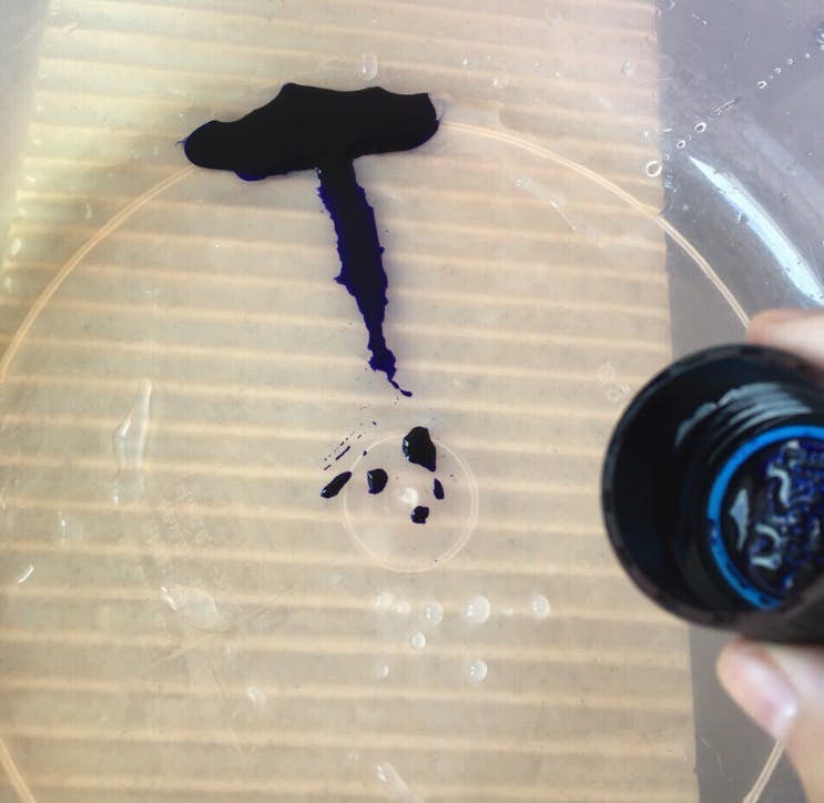 Screen-Shot-2019-12-18-at-11.50.48-AM