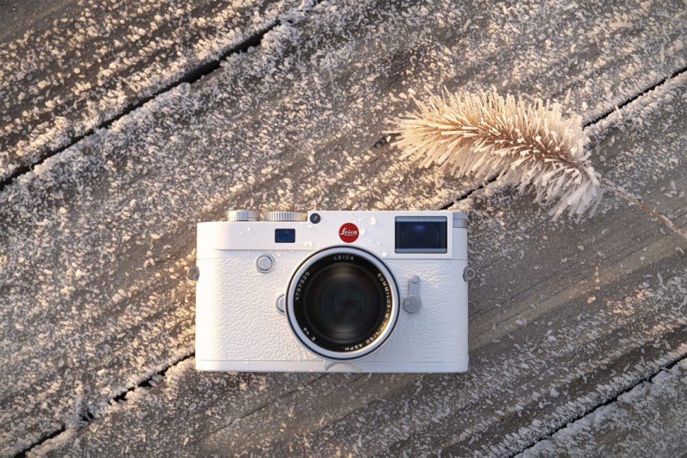 sssleciaphoto07
