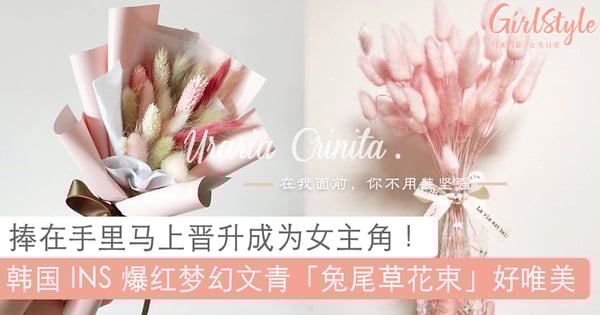比「满天星」更少女心的花出现了！韩国 INS 爆红粉嫩梦幻「兔尾草花束」，TA 根本是干花界里的萌系女神啊！