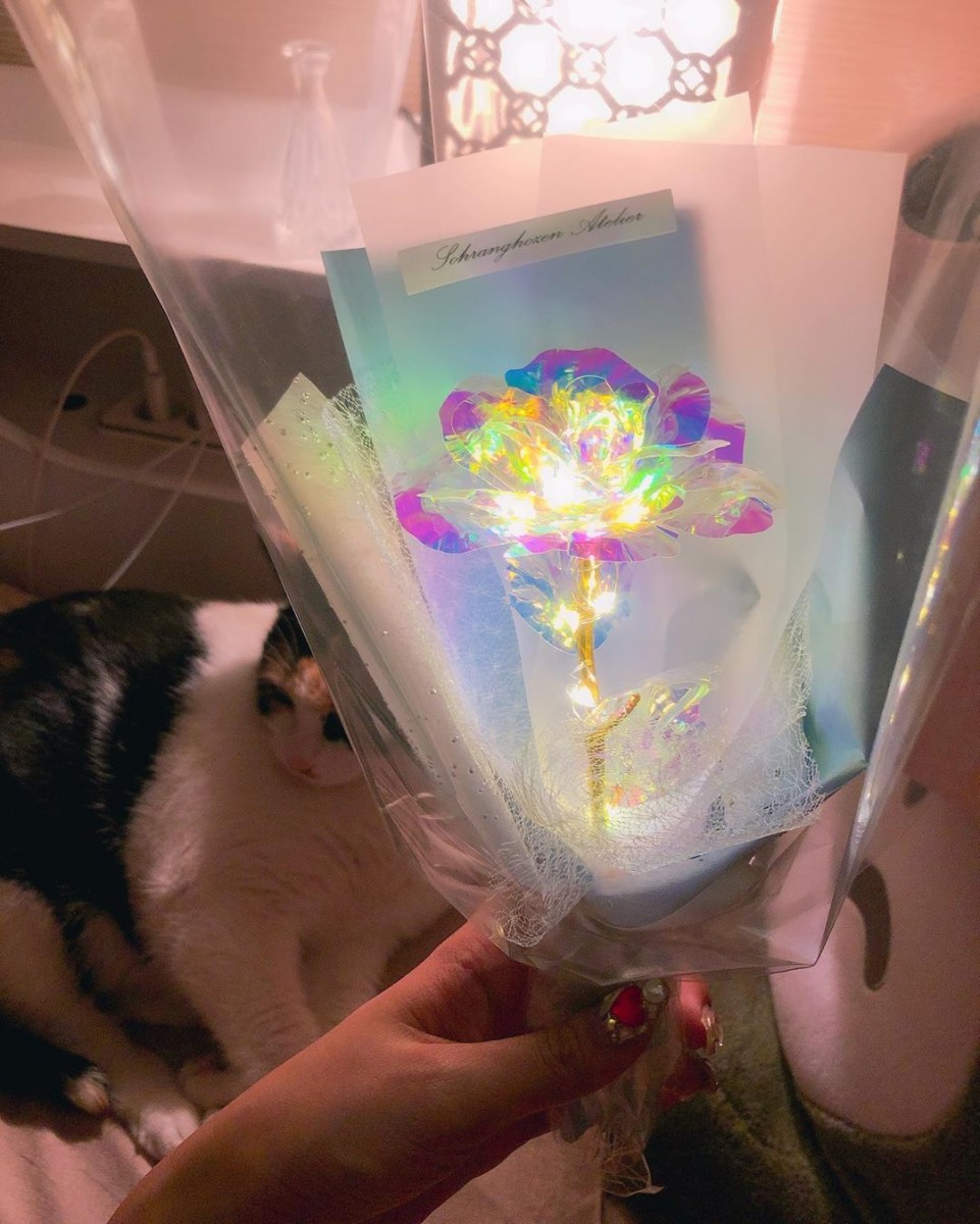 冰晶玫瑰 梦幻耶