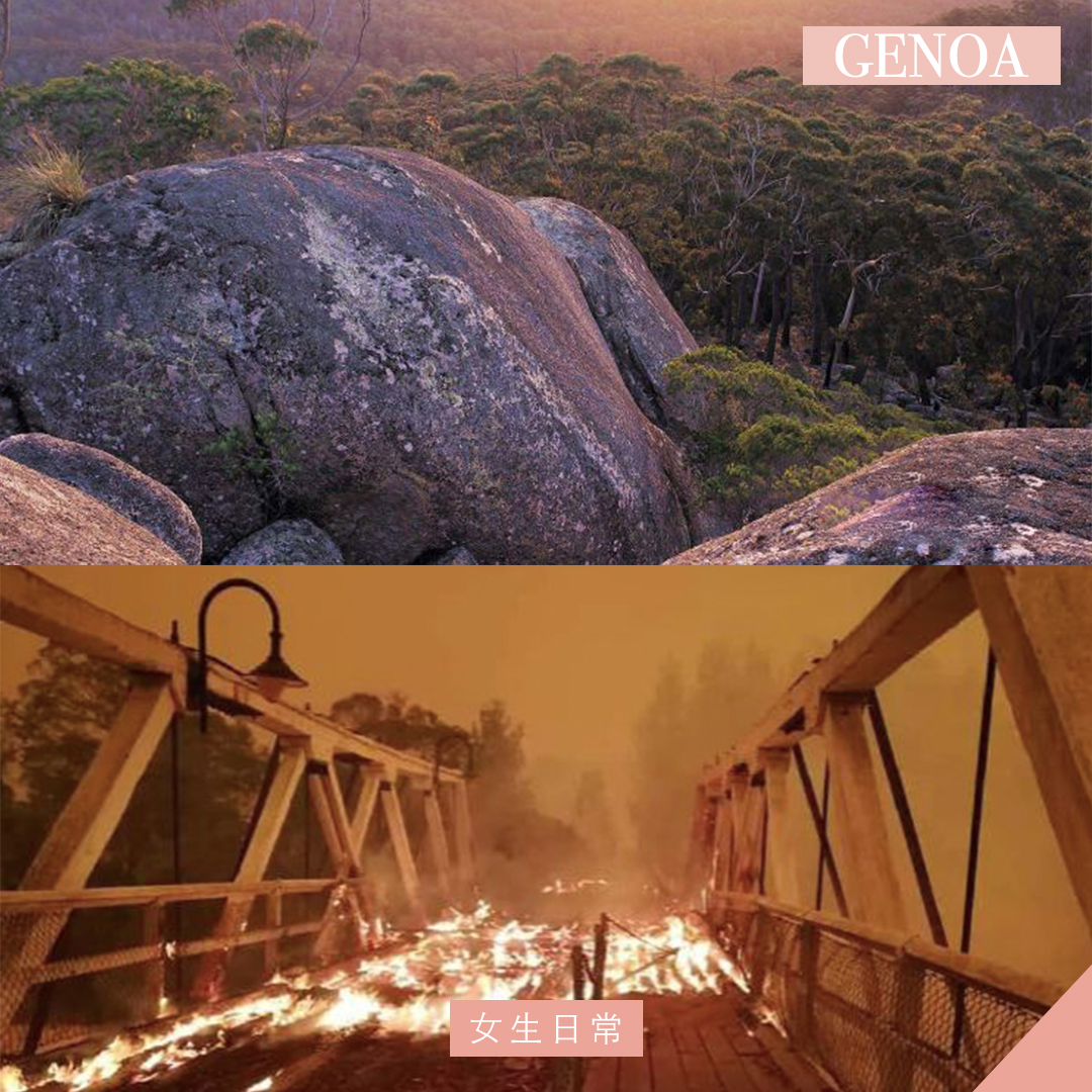 澳洲山火 genoa