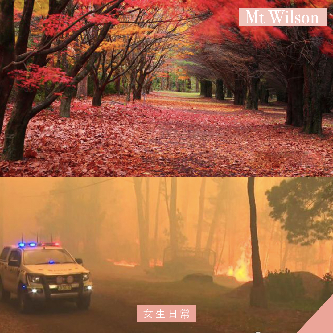 澳洲山火 mtwilson