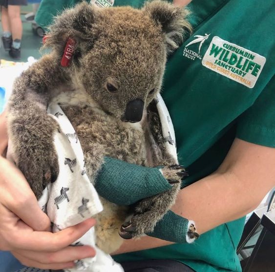 02f2c550a8dd6ddb645caf599bce909c