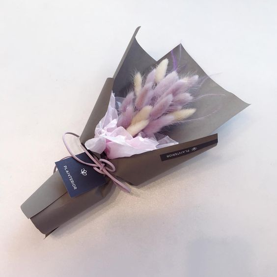 6bd0e6aa52bd0a19c3a1e383c4149dd5