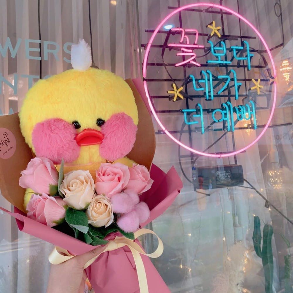 71759426_128648641888766_101294454895214471_n