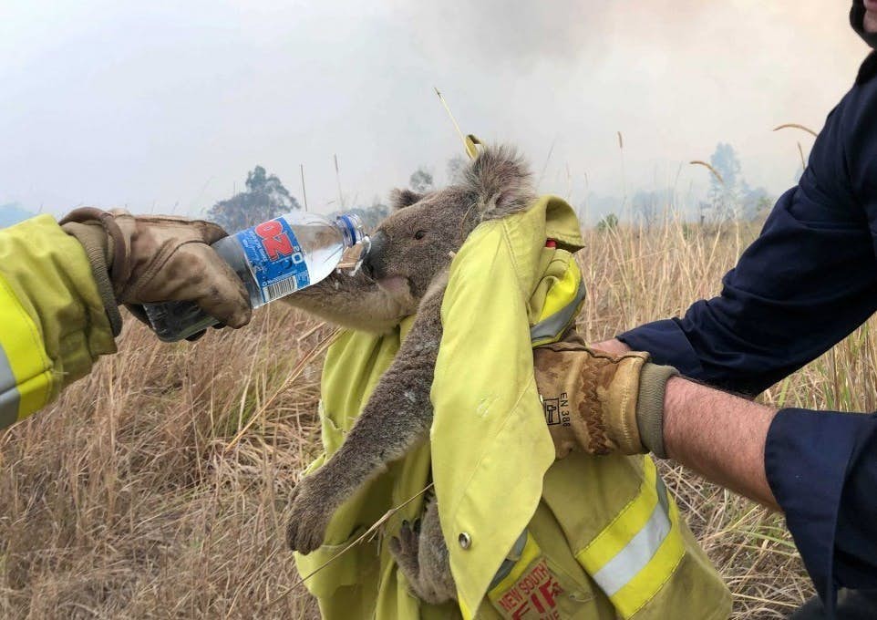 RTX7A060-e15783857173731