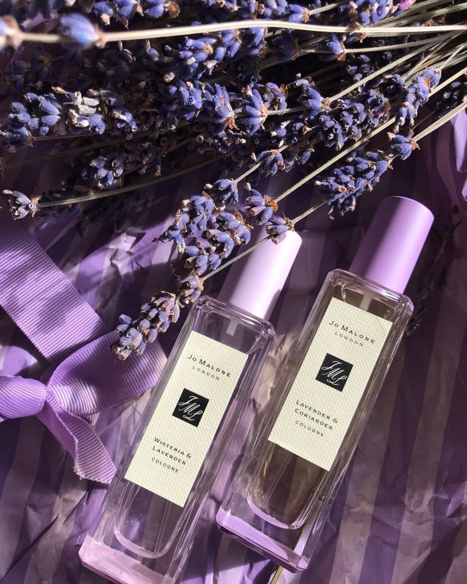 薰衣草香氛 2020