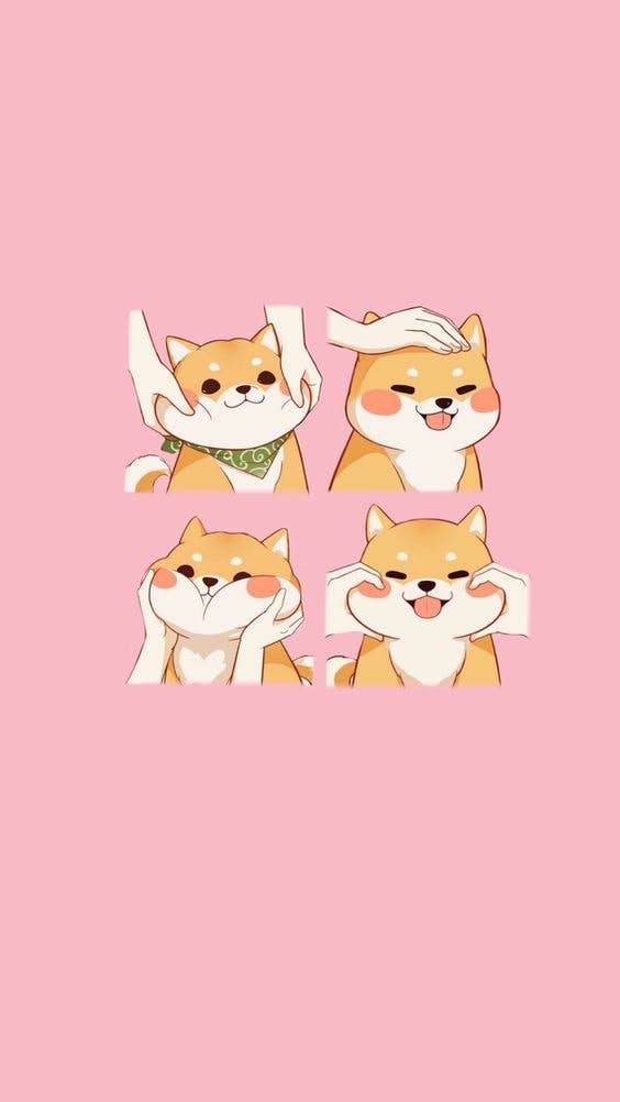 乖巧可爱柴犬手机桌布