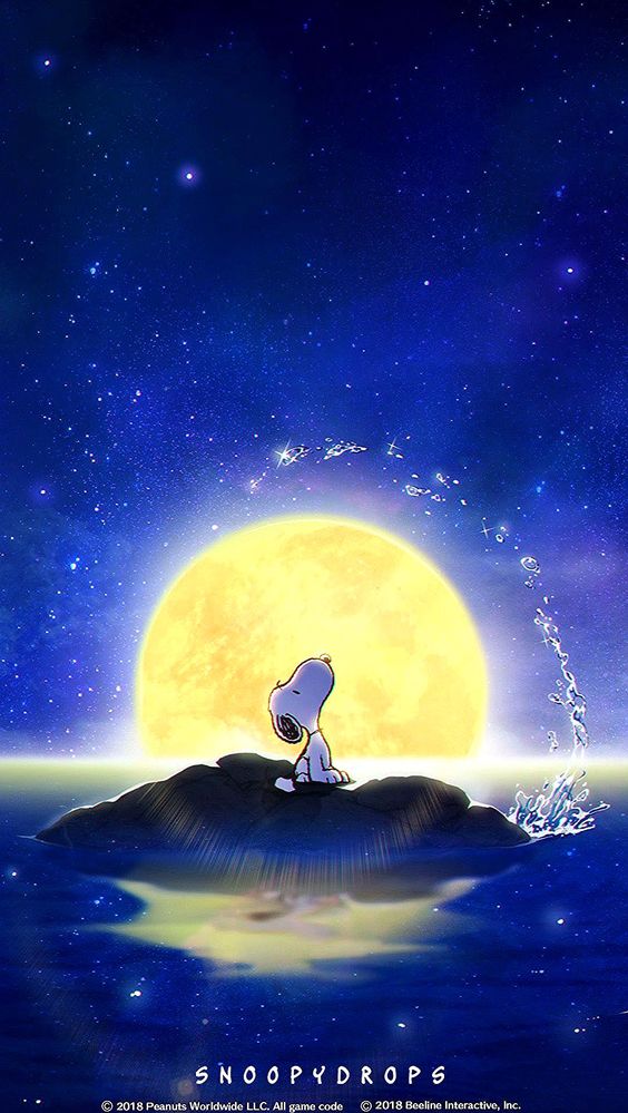 1c9a1aeb25f718481136bbe1cf13fca6