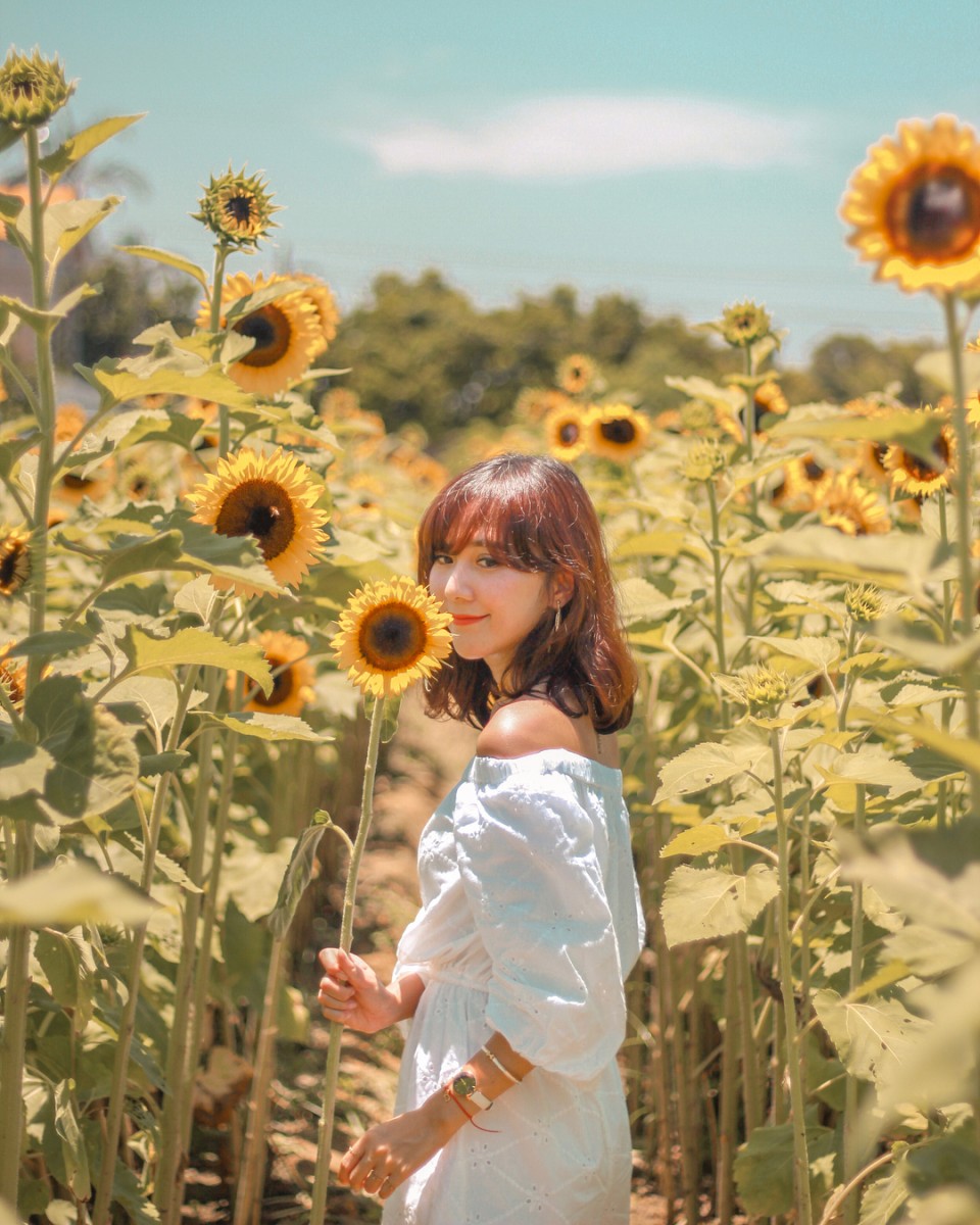 37587259_2194448907458872_7630570319777890304_n