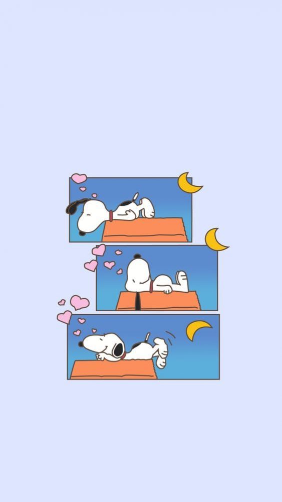 3ex4f2uriw008gw04owckkkw0po8nlx-563x1000