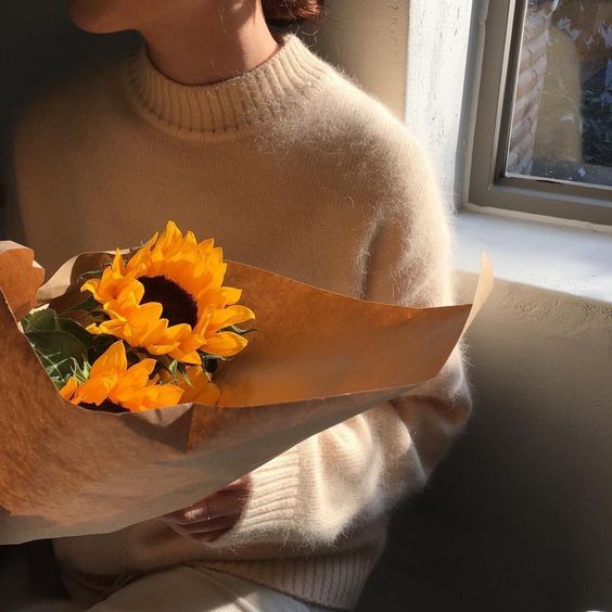 4月份之花 太阳花