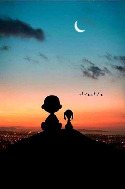 424b8bd65461b0a222ce26e629d36ab5