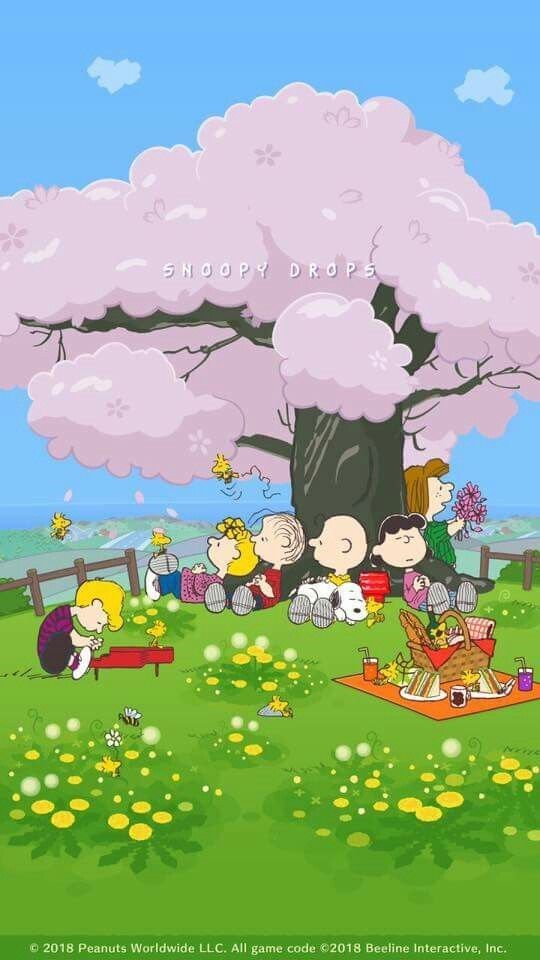 538deaf403d56c05734e87e1e554d5eb