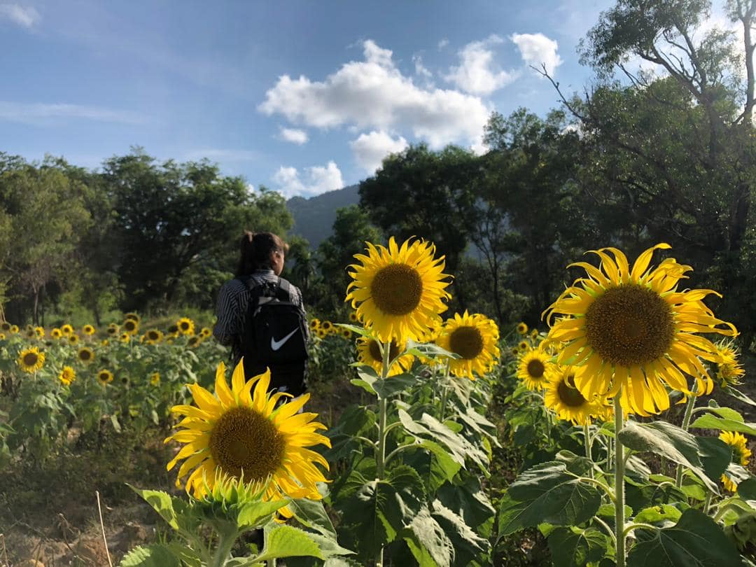 66288528_419153735479640_4914260919627808768_o