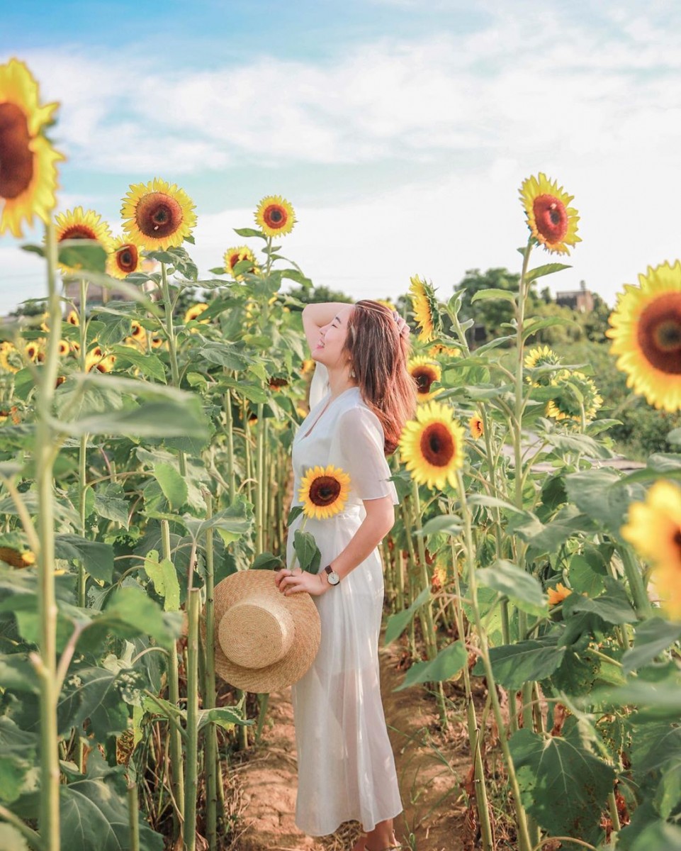 66658755_336534627227056_4987157756449013298_n