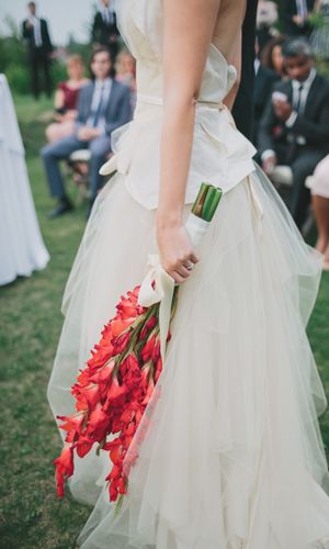 8月份之花 剑兰