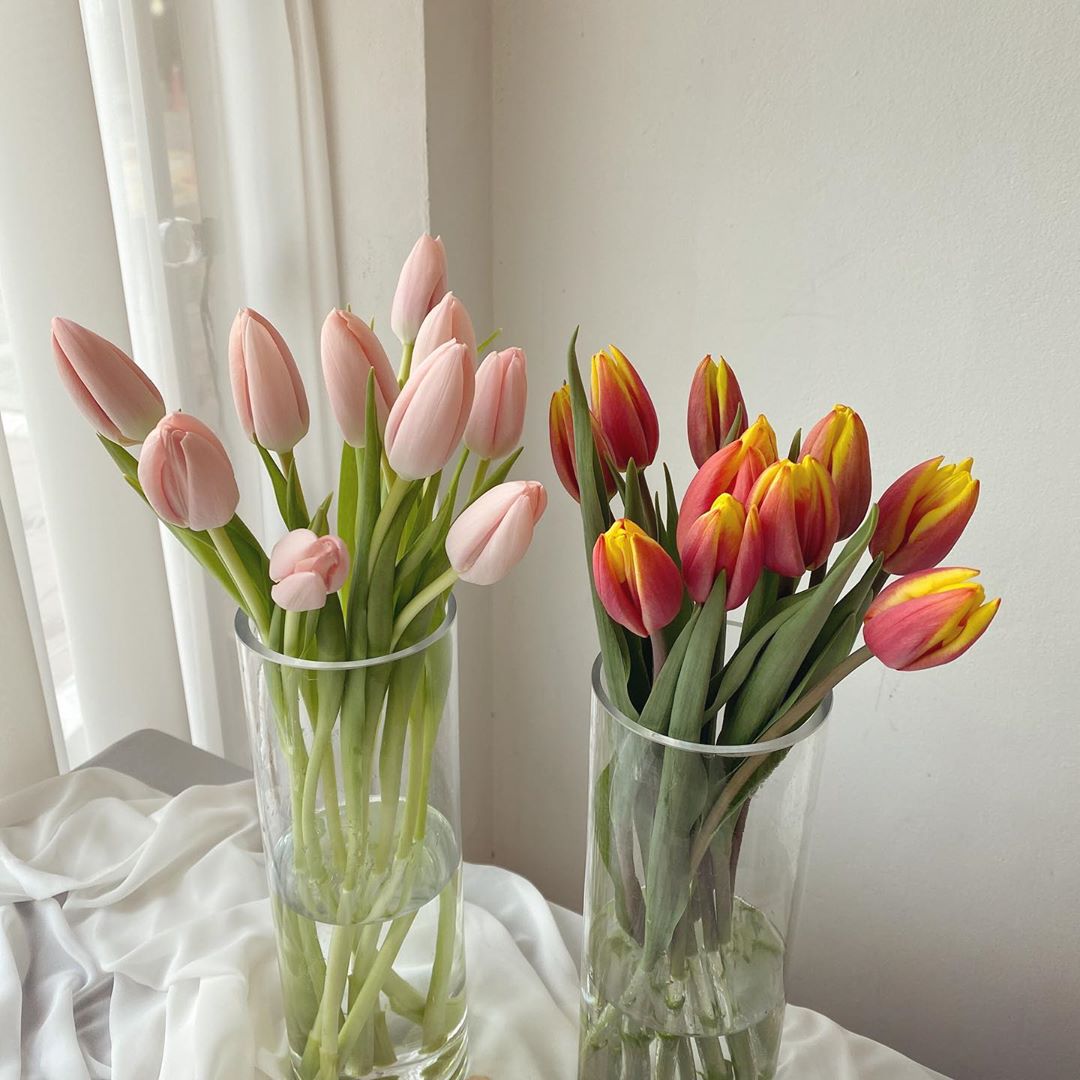 83126701_206056870564352_2142915209521428263_n