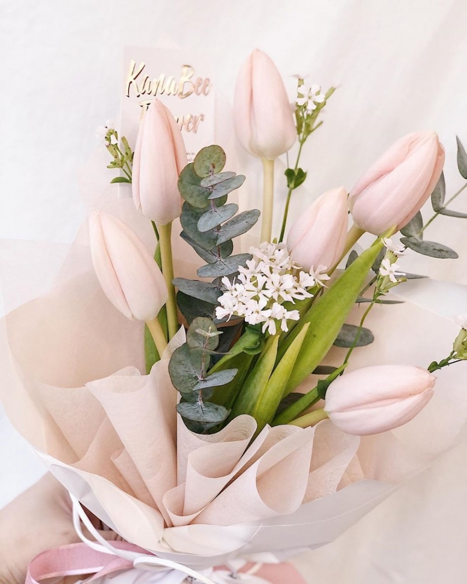 83353567_129017478600365_7071653761229683070_n