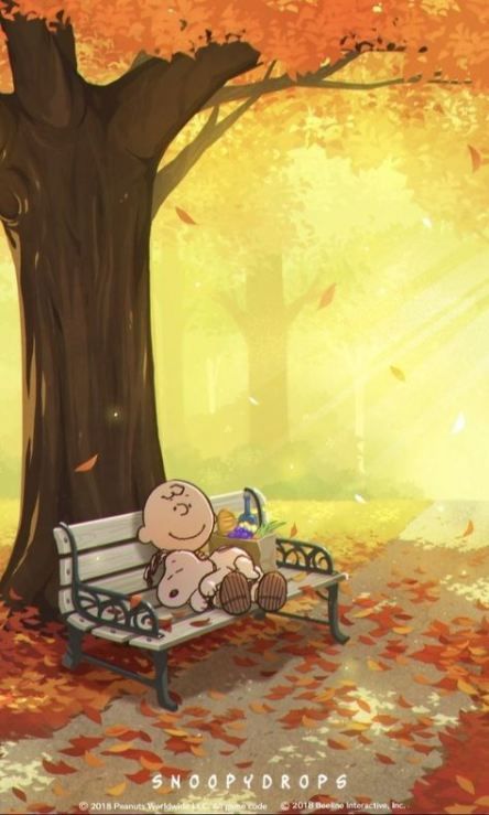 846f10eff4336f5ae53fe9b4f88b0764