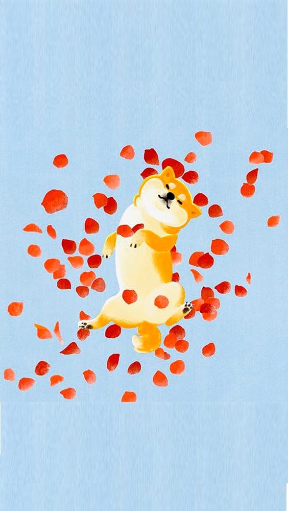 可爱呆萌柴犬蓝色系手机桌布