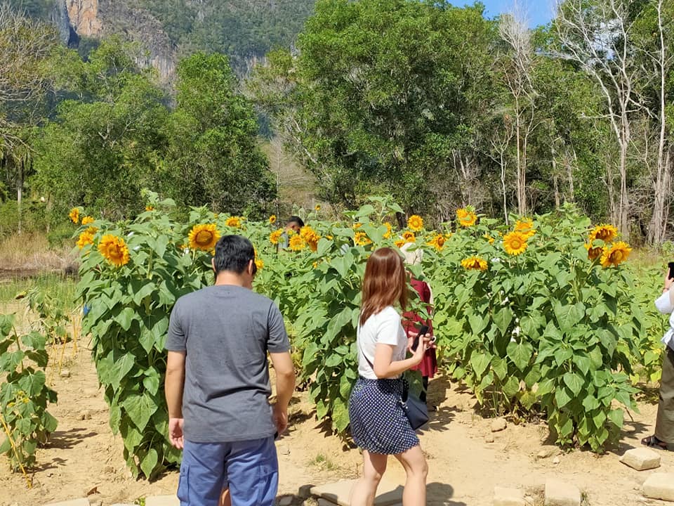 86717445_567144957347183_5845324621544423424_n