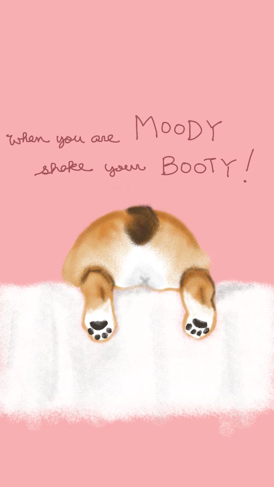 可爱柯基屁屁手机桌布 When you are moody, shake your booty