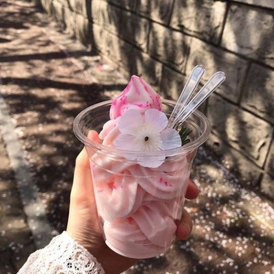 dc9ae50d48024d6f53956ebf47945095