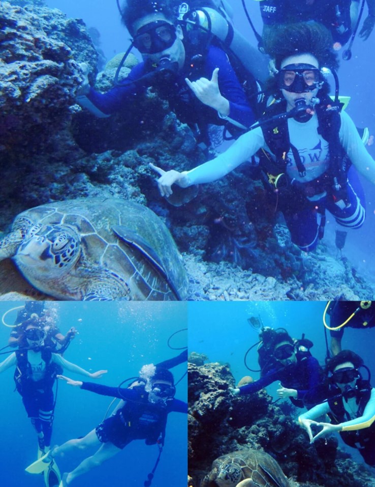 这座岛需从沙巴仙本那码头乘搭游艇前往,过程会用时约45分钟。岛上进行的活动包括浮潜、深海潜水、泛舟、参与海龟保育活动等等。