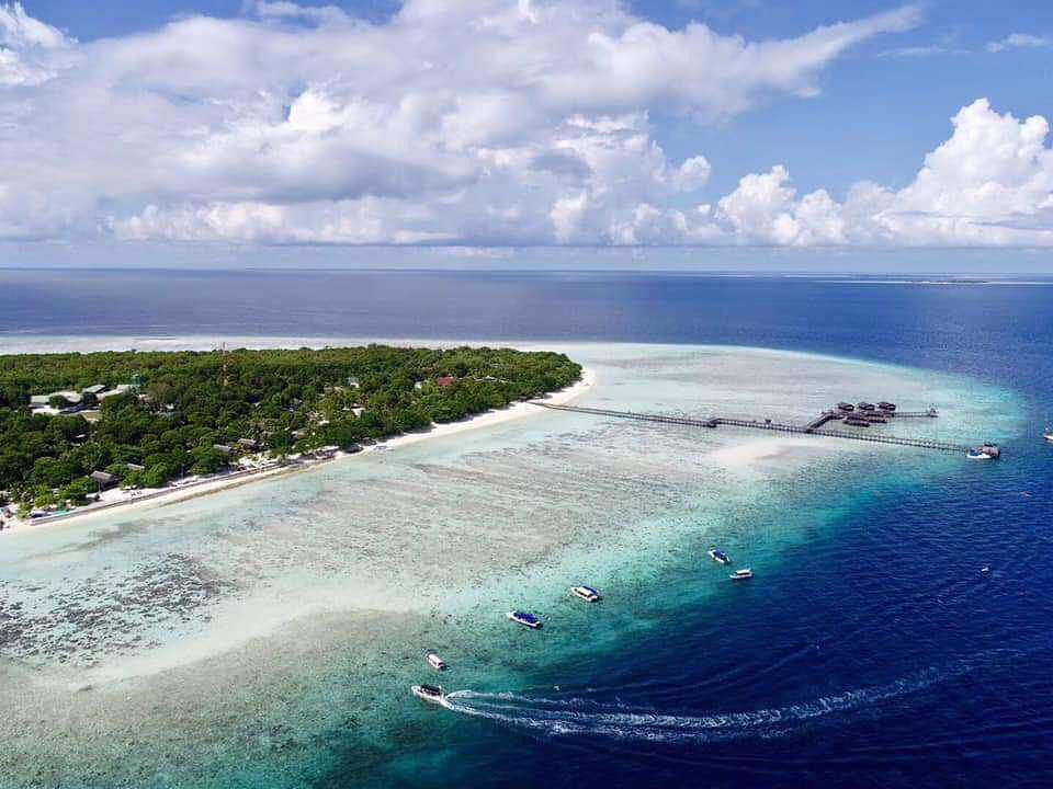 没有受污染的邦邦岛大海里,浮潜便有机会看见许多美丽的海蜗牛、海龟、鱼群、珊瑚等美丽的海底生物。日落景色也超棒哟!?