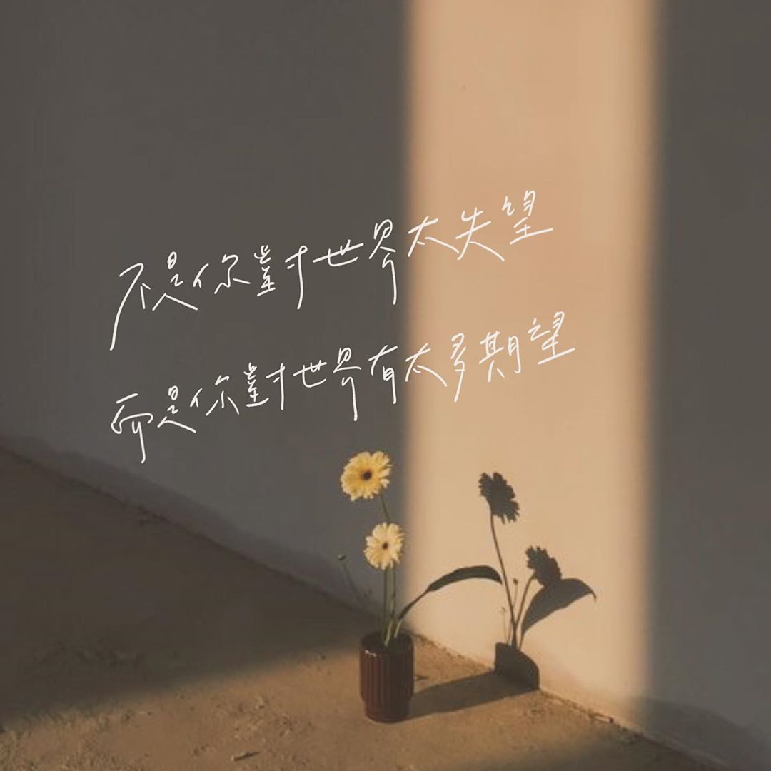 87301730_528525717798601_5967918584711615633_n