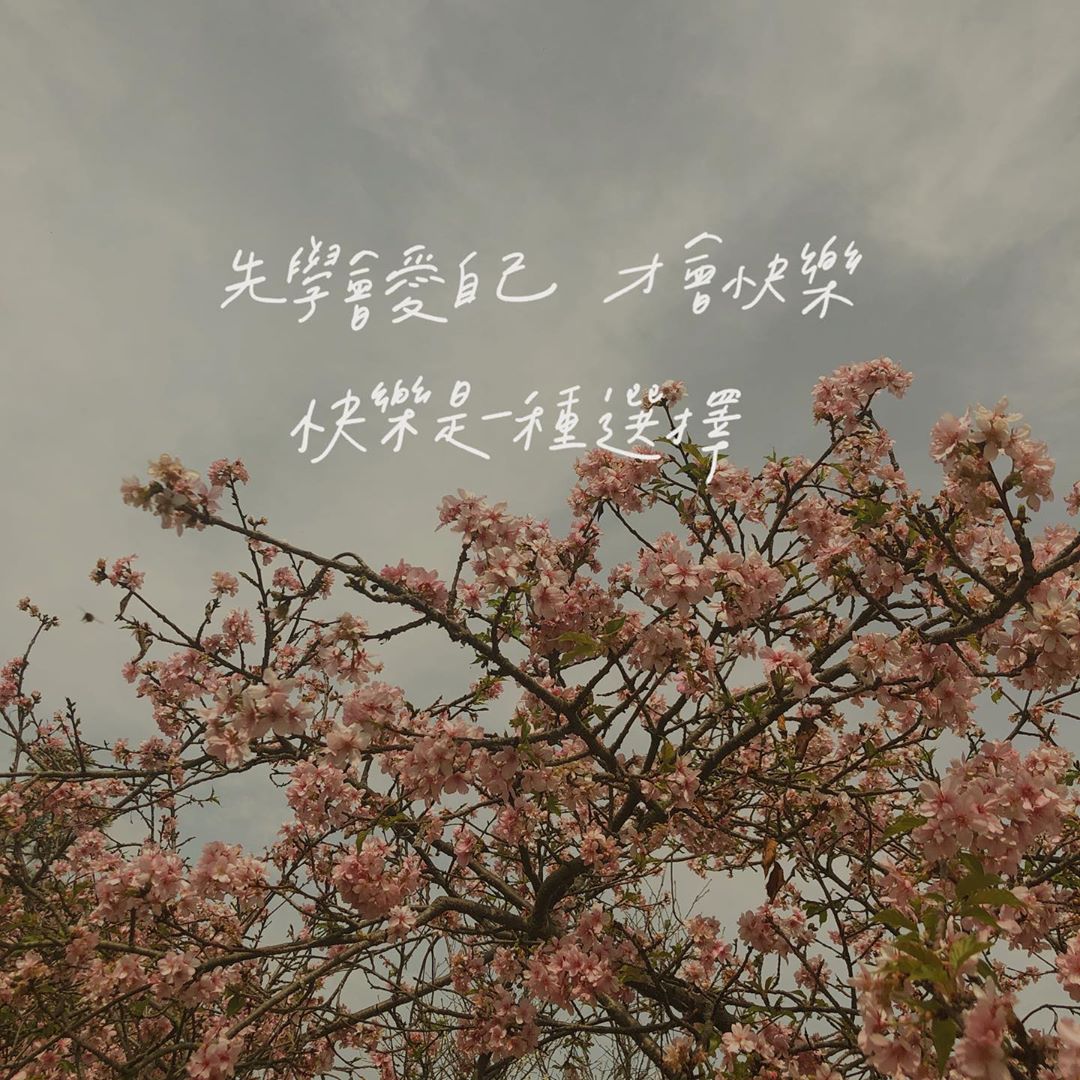 87327636_2994781000552211_5464497724674221904_n